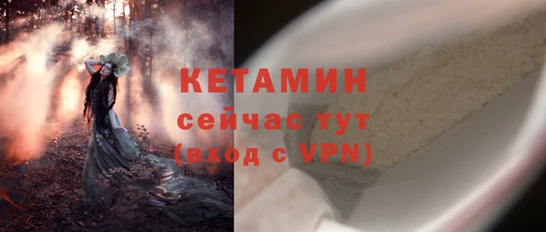 сатива Бородино
