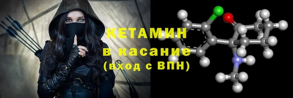 сатива Бородино