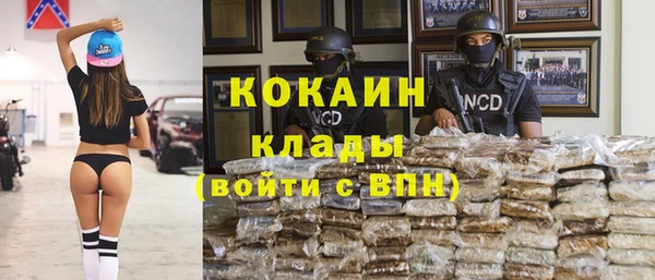 ПСИЛОЦИБИНОВЫЕ ГРИБЫ Богородск